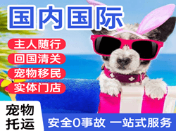平潭空运公司国际宠物托运 【国